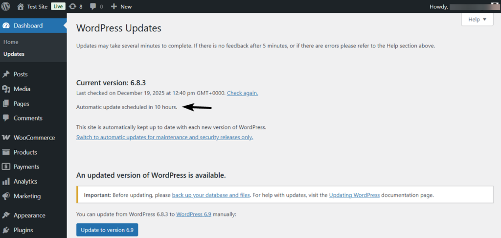wordpress core auto update schedule